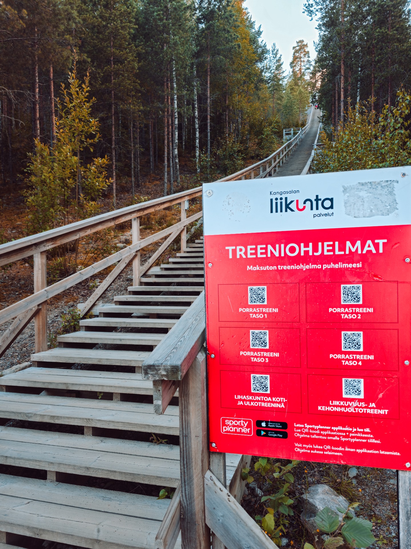 Puinen portaat ja kaareva luontopolku metsässä, punainen opastaulu ja QR-koodit etualalla.