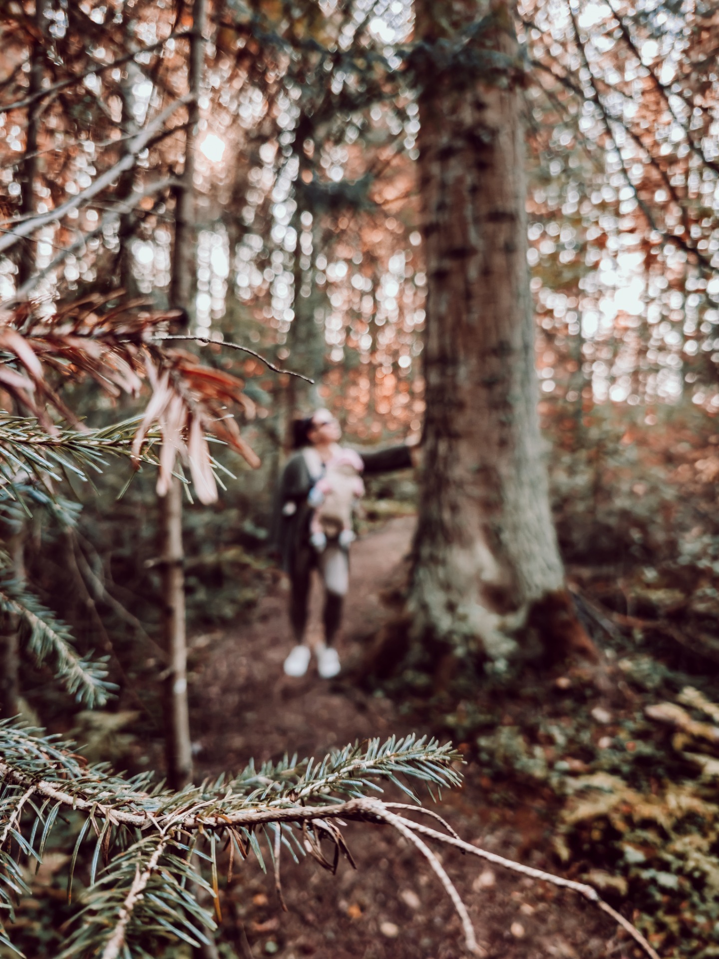 Sumea metsäpolku, etualalla havunneulasia ja taustalla kaksi ihmistä kävelemässä puiden välissä.